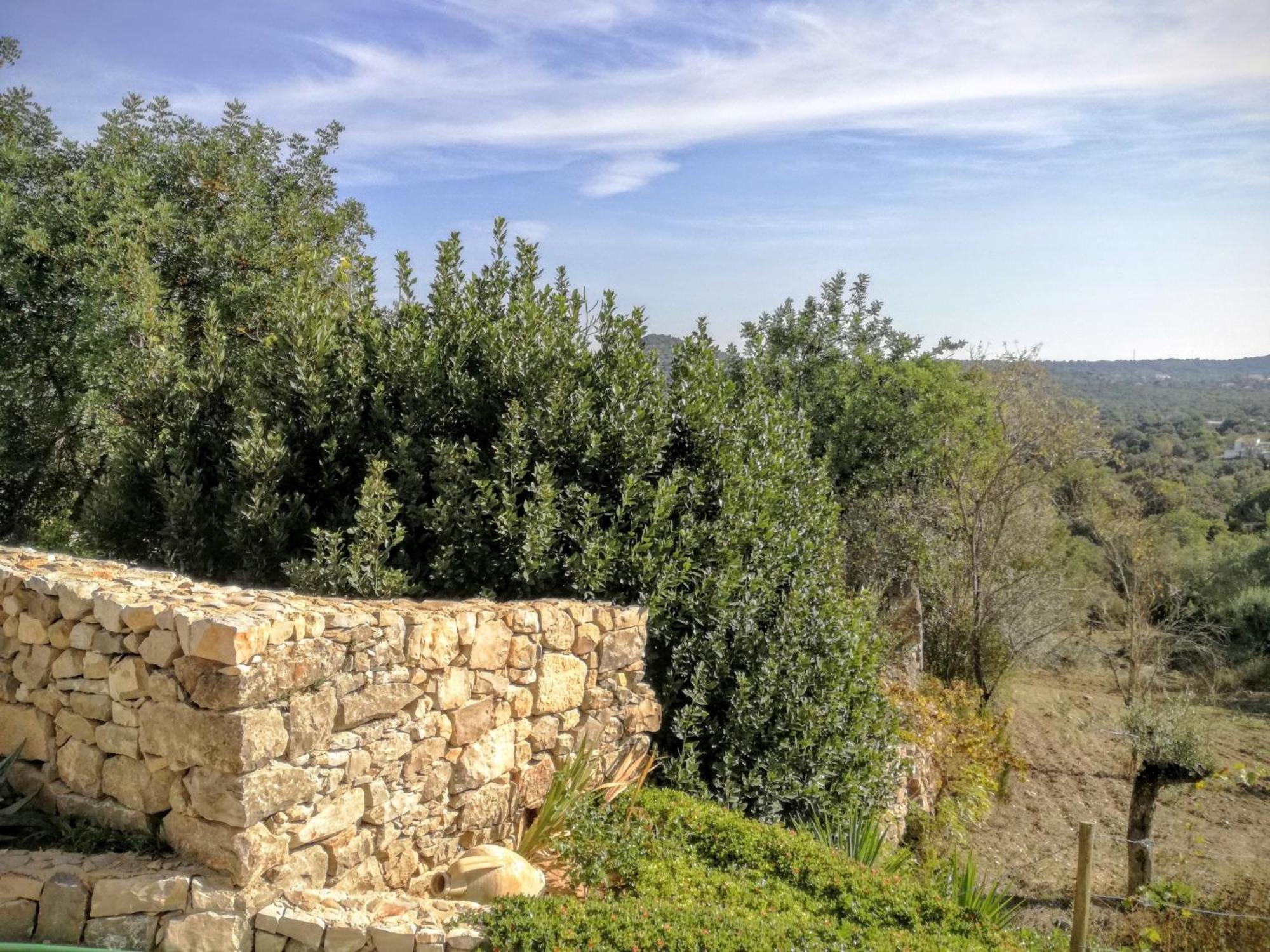 Monte Da Ribeira Villa Estoi Ruang foto